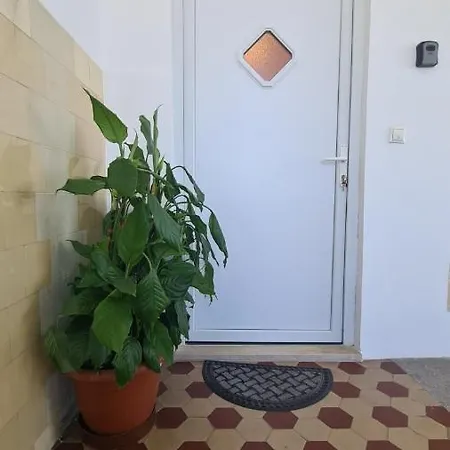 Apartman Zabica *