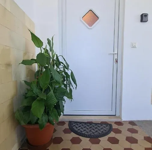 Apartman Zabica *