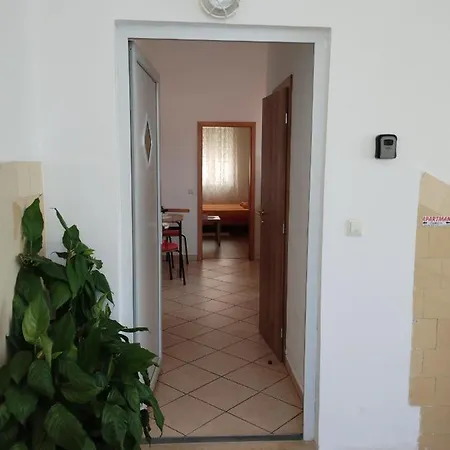 Apartman Zabica Apartment
