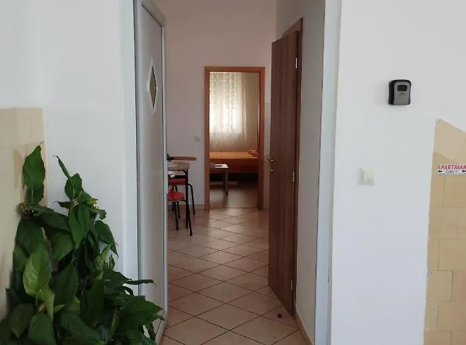 Apartman Zabica شقة